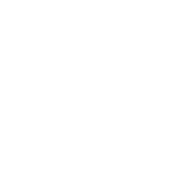 Digital Waste Reporting Systems